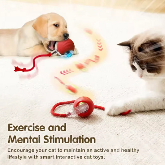 🐾 Smart Interactive Cat Toy – The Ultimate Playtime Companion! 🐭✨