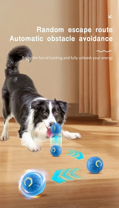 🎾 Smart Interactive Dog Toy Ball – Keep Your Pup Active, Happy &amp; Engaged! 🐾