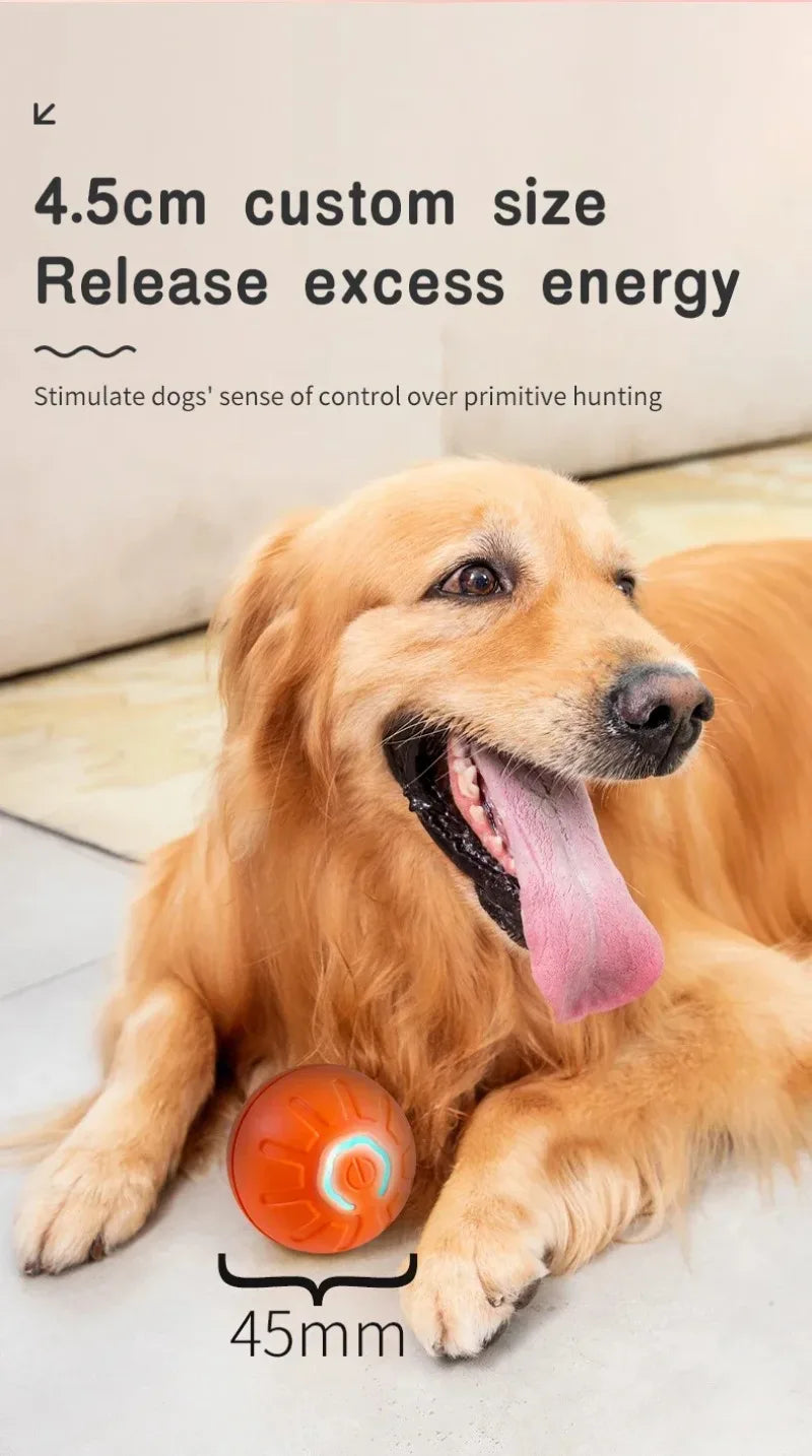 🎾 Smart Interactive Dog Toy Ball – Keep Your Pup Active, Happy &amp; Engaged! 🐾