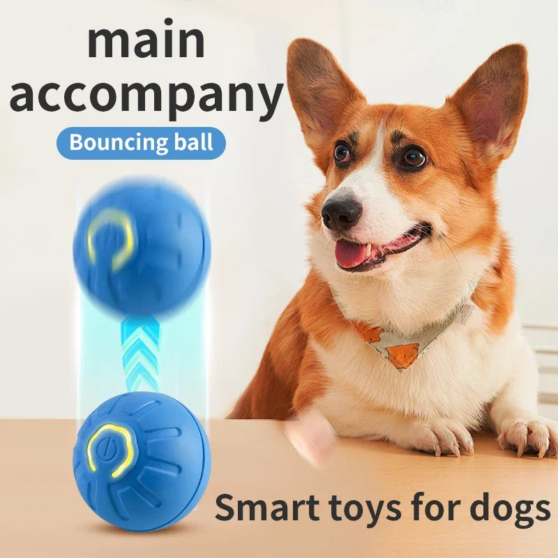 🎾 Smart Interactive Dog Toy Ball – Keep Your Pup Active, Happy &amp; Engaged! 🐾