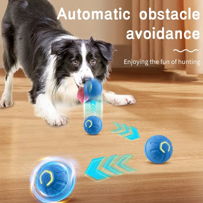 🎾 Smart Interactive Dog Toy Ball – Keep Your Pup Active, Happy &amp; Engaged! 🐾