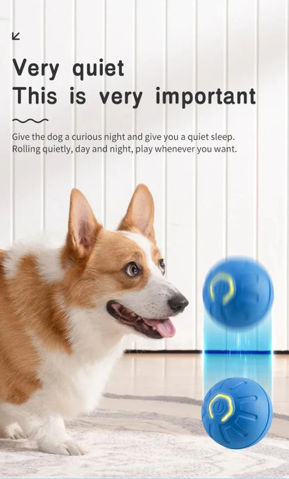 🎾 Smart Interactive Dog Toy Ball – Keep Your Pup Active, Happy &amp; Engaged! 🐾