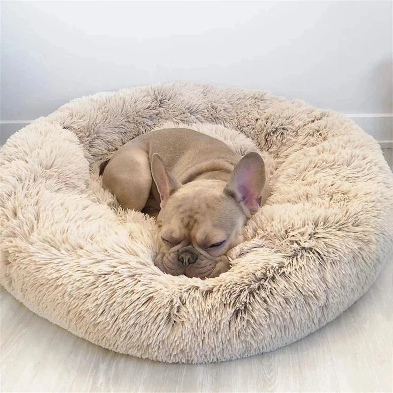 🐾 CozyDream™ Heated Plush Pet Bed – The Ultimate Comfort Haven for Your Furry Friend! 💤