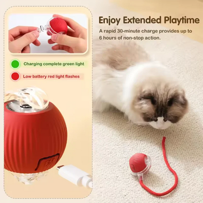 🐾 Smart Interactive Cat Toy – The Ultimate Playtime Companion! 🐭✨